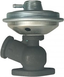 WRC Auto Parts Βαλβίδα EGR Αυτοκινήτου για Peugeot 406 Citroen C5