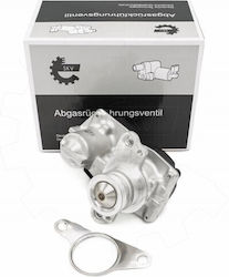 SKV SKV AGR-Ventil Für Opel Vivaro Mercedes-Benz Vito Renault Online-Shop / Großer Raum / Großartiger Szenischer / Kadjar / Koleos / Megane / Malerei / Talisman Nissan NV300 / Qashqai / X-Trail