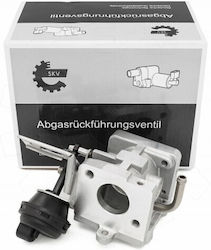 SKV Клапан EGR за Автомобил за Volkswagen Touareg / Phaeton Audi A4 / A6 / A8 / Q7