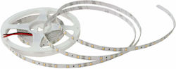 Lightex Ταινία LED 12V Φυσικό Λευκό Lightex Ταινία LED 12V Φυσικό Λευκό
