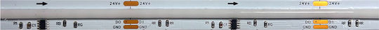 Aca Wasserdichter LED-Streifen 24V Blaues Licht 5m COB-Typ