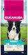 Eukanuba 15kg Ξηρά Τροφή Σκύλων Μεσαίων Φυλών με Κοτόπουλο