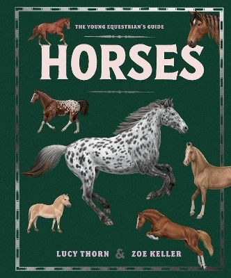 Horses Lucy Thorn Hodder Children's Books