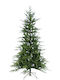 Christmas Tree Seattle Mix 210cm