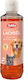 Nobby Salmon Oil for Dog and Cat 250ml for General Health