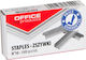 Office Products Staples Size 10 1000 Pcs X 10 Packs