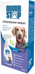 M-Pets Geruchsstopp Deodorant Spray Raum Duft Lavendel 500ml M-Pets Geruchsstopp Deodorant Spray Raum Duft Lavendel 500ml