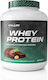 Smlabs Whey Protein with Nutella Flavor 2kg