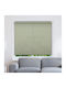 BetterHome Rollos zur Sonnenschutz Partieller Blackout Grüne Breite 80 Höhe 140 cm BetterHome