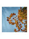 BetterHome Roller Blinds 585024 Partial Blackout W80xH80cm MHB-585024-80x80