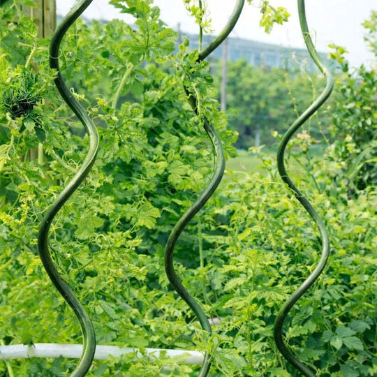 Spirală Oțel Suport Plantă Rossima Sr-11-120
