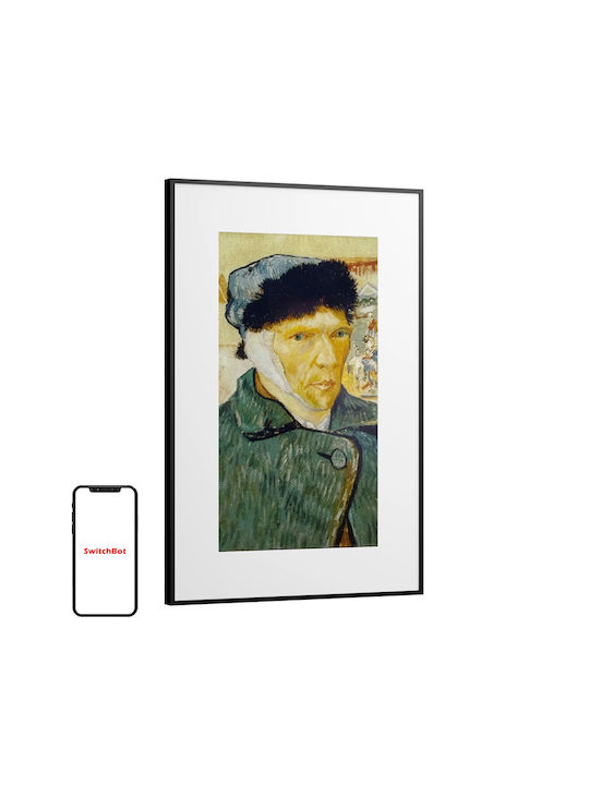 Switchbot Ψηφιακή Κορνίζα 31.5" Πολύχρωμη W8402020