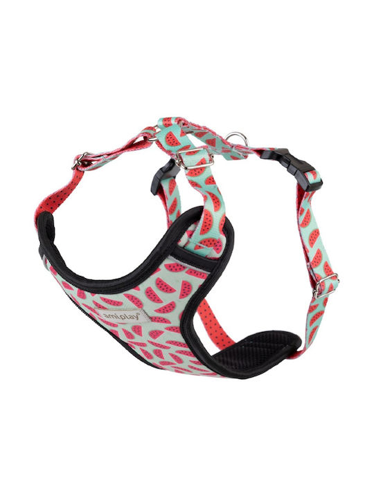 Dog Harness Amiplay Harness Discovery Be Happy Watermelon Medium 35-50cm
