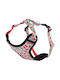 Dog Harness Amiplay Harness Discovery Be Happy Watermelon Medium 35-50cm