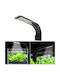 Zola Dekorative Tischlampe LED 7000K
