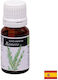 Artesania Agricola Αιθέριο Έλαιο Δενδρολίβανο 10ml