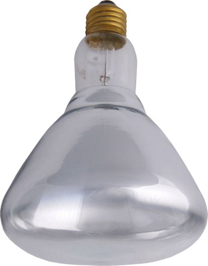 Infrared Heating Lamp Radiator White 150 W Hard Glass 70609