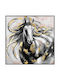 Fylliana Fl003 Segeltuch Gemälde Rahmen Pferd Schwarz-Gold 100x100cm
