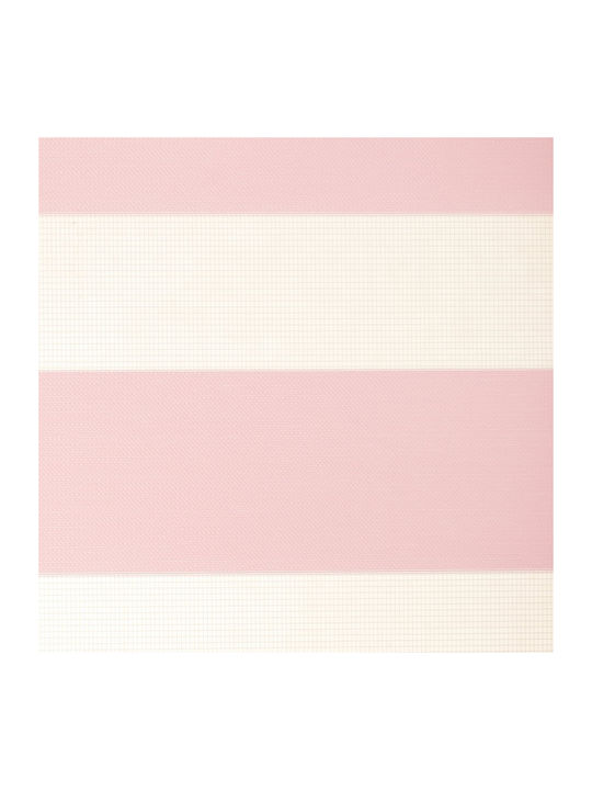BetterHome Rollos Sichtschutz 525889 Partieller Blackout Doppelt Rosa P300xH250cm