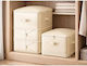 Verk Group Air-Tight Storage Case for Bags / Clothes / Blanket/Duvet Vacuum and Air-Tight in Beige Colour
