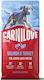 Carnilove 4kg Ξηρά Τροφή χωρίς Σιτηρά για Κουτάβια Μεγαλόσωμων Φυλών με Σολομό, Γαλοπούλα, Κολοκύθα και Μήλο