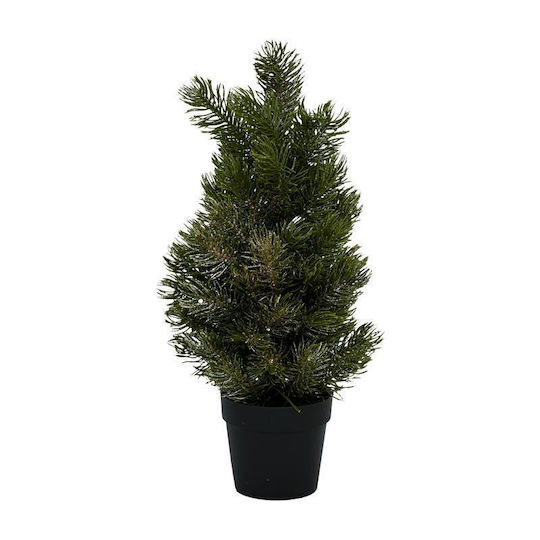Christmas Decorative Potted Fir Fylliana Green Colour 10x35cm