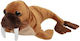 Nature Planet Plush Toy