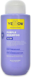 Yellow Professional Σαμπουάν Διατήρησης Χρώματος 500ml Yellow Professional Σαμπουάν Διατήρησης Χρώματος 500ml