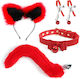 BDSM Kit in Red Colour