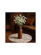 SteweHome Decorative Wooden Brown Vase Diameter 2xHeight 19cm
