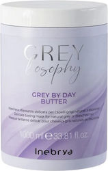 Inebrya Grey By Day Mască De Păr 1000ml