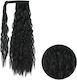 Postiche Synthetic Sticker Ponytail Wave Color 01 65cm