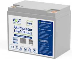 Volt Polska UPS-Batterie 12V 50Ah Volt Polska UPS-Batterie 12V 50Ah