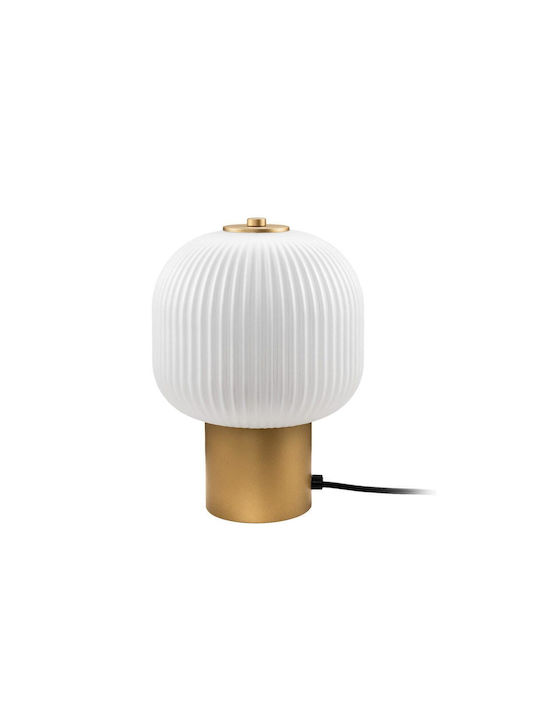 Luma Decorative Lighting LED Warm White 3000K