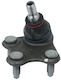 Borsehung Frontkontrollarmbolzen Fabia II Roomster Rechts 6r0407366