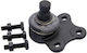 Front Lower Control Arm Pin Mazda Demio Dy 2002-2005 Jp D350-34-350c