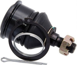Piuliță Braț Control Inferior Față Honda Civic CRX ED9 1988-1991 EU 51220-SH0-A01 Piuliță Braț Control Inferior Față Honda Civic CRX ED9 1988-1991 EU 51220-SH0-A01