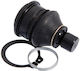 Febest Vorderes System Für Nissan Tiida Jpn C11 2005.08-2012.06 Gl 54501-el000