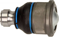 Bucșă Braț Oscilant Renault Partea Frontală Maestru 07 Stânga Dreapta Inferior 93 194 857 Bucșă Braț Oscilant Renault Partea Frontală Maestru 07 Stânga Dreapta Inferior 93 194 857