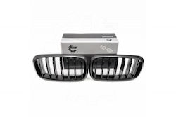 SKV Mască Decorativă Pentru Mașină BMW X5 (F15) SKV Mască Decorativă Pentru Mașină BMW X5 (F15)