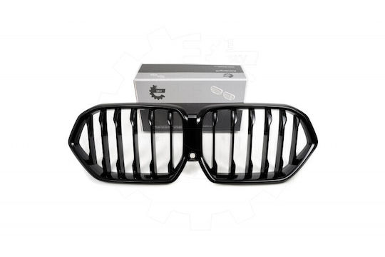 SKV Διακοσμητική Μάσκα Αυτοκινήτου BMW X6 (G06)