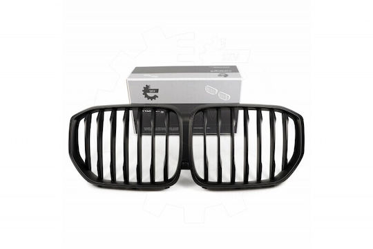SKV Decorative Car Mask BMW X5 (G05)