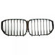 ABC Parts BMW X5 (G05) Decorative Car Mask