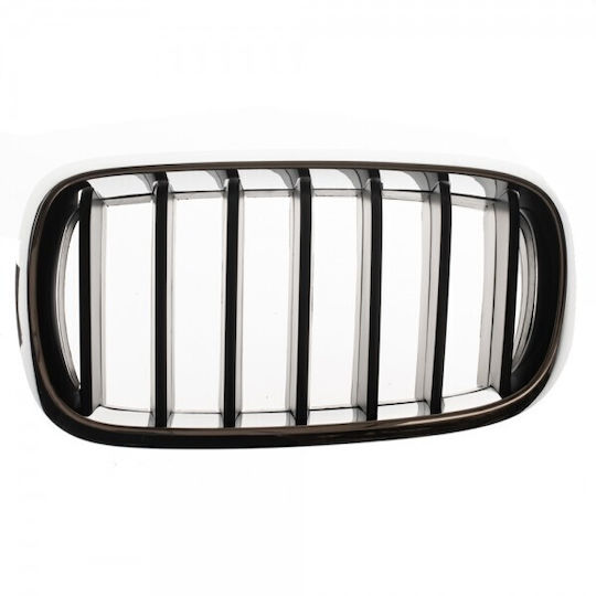 ABC Parts Decorative Car Grille BMW X5 (F15)