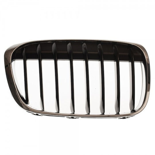 ABC Parts BMW X1 (F48) Auto Dekorative Masken