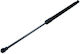 Amortizoare Cu Gaz Capota Portbagaj Toyota Corolla 6895002020