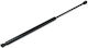 Gasdruckstoßdämpfer Hyundai Santa Fe I 2000-2005 Hinteres 8177126011