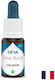 Confidence Snake Milk Bach Method Drops 15 Ml