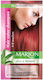 Marion Βαφή Μαλλιών 6x40ml