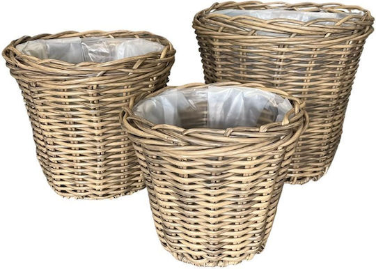 Scandinavian Collection Rattan